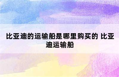 比亚迪的运输船是哪里购买的 比亚迪运输船